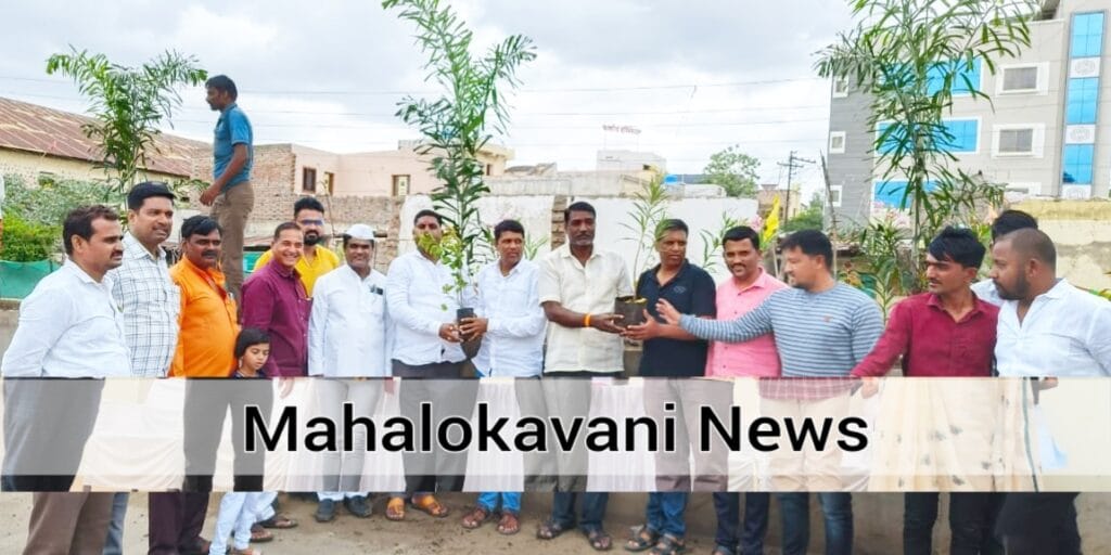 आमदार रोहित पवार यांच्या वतीने जामखेडमध्ये वृक्षारोपणाचा कार्यक्रम संपन्न; पदाधिकारी व कार्यकर्ते मोठ्या संख्येने उपस्थित.!